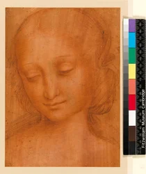Head of a Woman