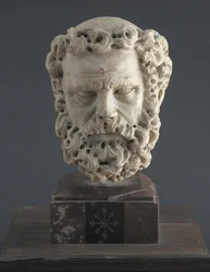 Head of a Bearded Man
