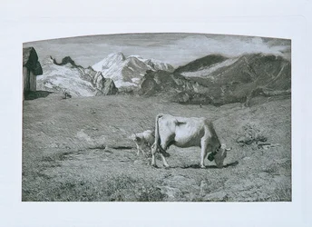 Spring Pasture