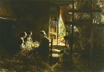 Collecting the Cocoons