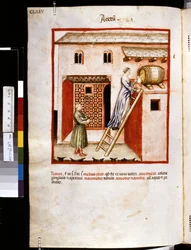 Theatrum sanitatis by Ububchasym de Baldach: 