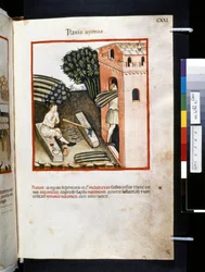 Theatrum sanitatis by Ububchasym de Baldach: 