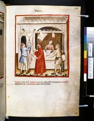 Theatrum sanitatis by Ububchasym de Baldach: 