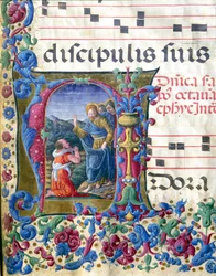 The Vision of Isaiah