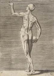 Man Seen from the Back, Holding a Skull in His Right Hand