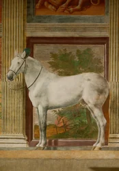The Horses