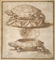 Turtle Shaped Sweetmeat Box