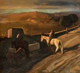 White horse at the watering hole