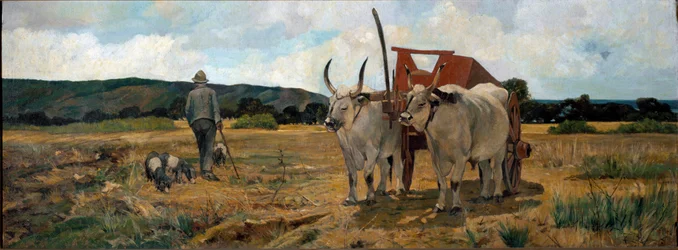 Landscape in Maremma