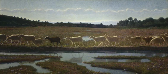 The Mirror of Life