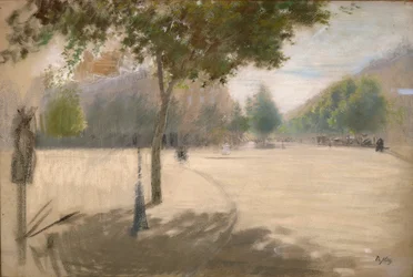 Sunny square