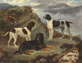 Sherry, Ranger and Glen, three gundogs in a landscape