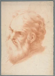 Head of an Old Man