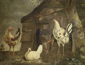 Poultry