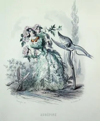 The Hawthorn, from 