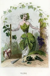 Illustration for 