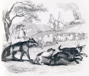 The Bassa and the Merchant - Fables by La Fontaine