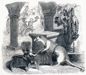 The Bat and the Two Weasels - Fables by La Fontaine