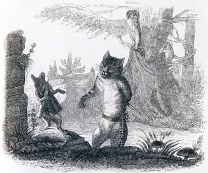 The cat and the rat - Fables by La Fontaine