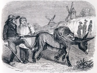 The donkey with the lion