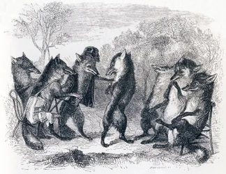 The fox with the cut tail - Fables by La Fontaine