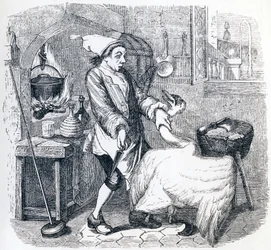The Swan and the Cook - Fables by La Fontaine