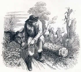 The Theft and the Donkey - Fables by La Fontaine