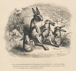 Three Rabbit Children Listening to Their Injured Grandfather Tell Stories. Illustrated Vignettes by JJ Granville. Engraving Signed Breviere in the Section 