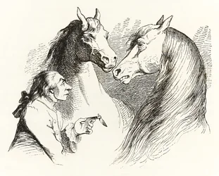 Gulliver converses with talking horses in Houyhnhnms Land from Gulliver