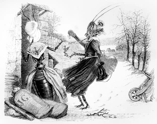 The Cicada and the Ant, Illustration for 