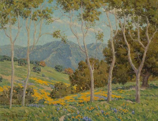 Poppies and Eucalyptus