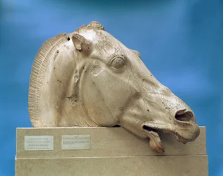 Head of one of the horses of Selene, goddess of the moon, from the east pediment of the Parthenon, 447-432 BC
