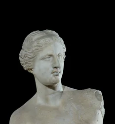 Head of the Venus de Milo (detail)