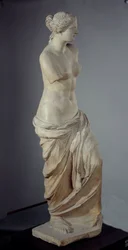 Unknown Image