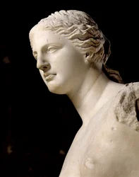 Venus de Milo (detail)