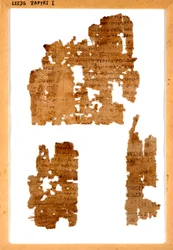Three fragments of unrelated papyrus mounted in a frame