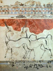 Antelopes, Akrotiri Fresco, Thera, Greece
