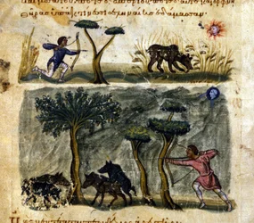 Bear and Boar Hunting
