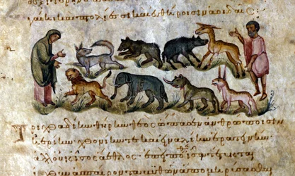 Game: the animals you can hunt - in 