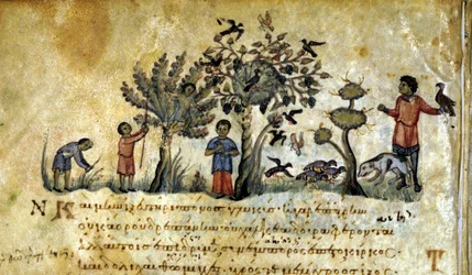 Hunting with the Falcon and Capturing Bird Nests. Greek Manuscript of Oppianus De Venatione 13th Century