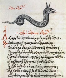 Treatise on Basilisk from De animalium natura et proprietate libellus