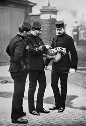 A Veterinary Demonstration, 1st Life Guards