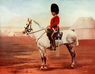 Sergeant-Major of the 2nd Dragoons. Royal Scots Greys, 1900