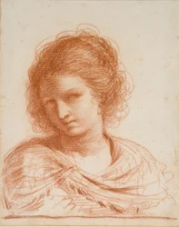 Head of a Young Woman