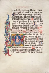 Choir Psalter and Hymnal