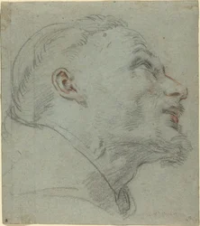 Head of Saint Francis