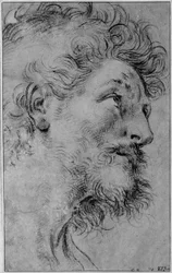Head of St. Crispin