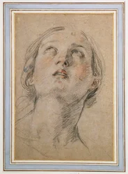 Head of a Woman Looking Up