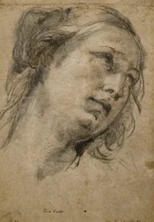 Head of a Woman Looking Up to the Right