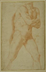 Nude Man Striding Forward, with Arms Folded and Looking Over His Right Shoulder